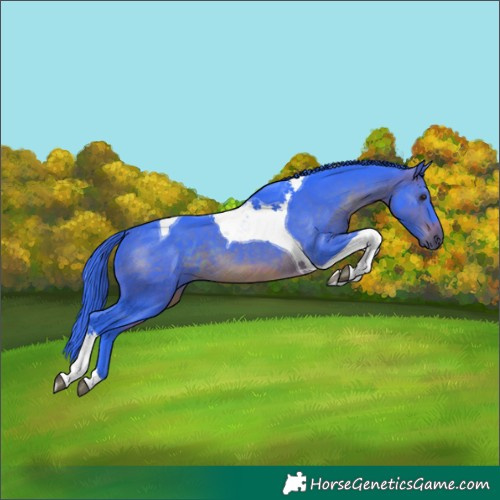 Horse Color:Watercolor Brown Tobiano 