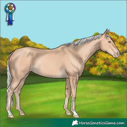 Horse Color:Gray Silver Perlino