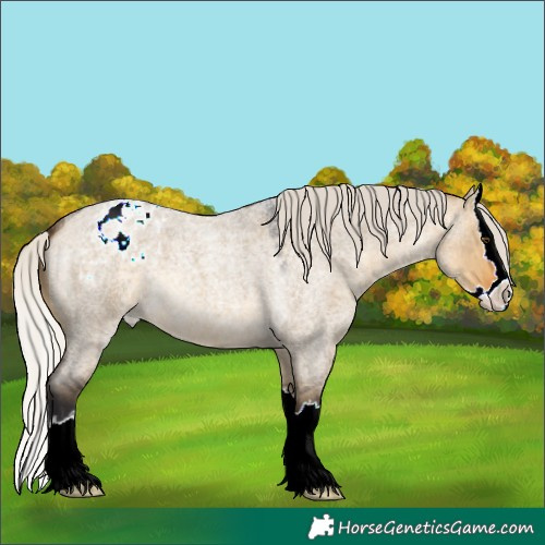 Horse Color:Silver Buckskin Roan Dun Splash Varnish 
