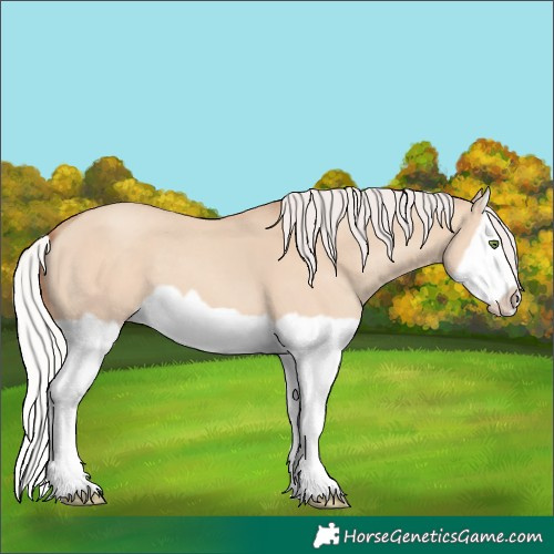 Horse Color:Silver Classic Champagne Dun Splash Frame