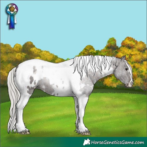 Horse Color:White Spotted Silver Brown Tobiano Appaloosa 