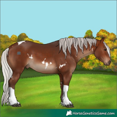Horse Color:White Spotted Silver Brown Tobiano