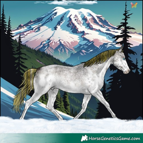 Horse Color:Painted Brown Ice Roan Onyx Splash