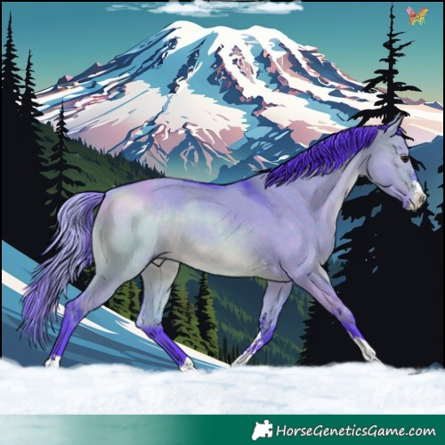 Horse Color:Watercolor Brown Dun Splash Tobiano