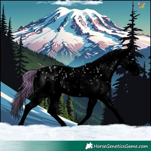 Horse Color:Void Watercolor White Spotted Gold Champagne Dun Splash Appaloosa