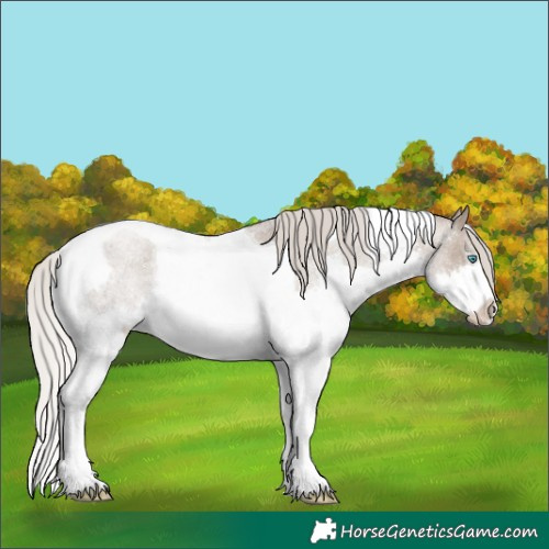 Horse Color:Silver Grullo Roan Splash Tobiano Rabicano