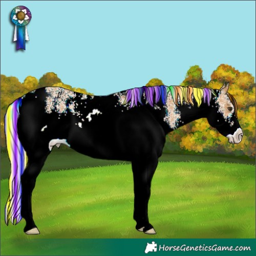 Horse Color:Painted White Spotted Palomino Rabicano 