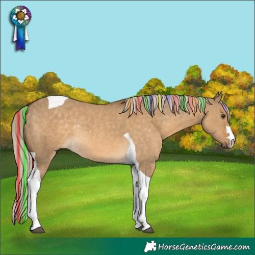 Horse Color:Painted Chocolate Palomino Dun Tobiano Rabicano 