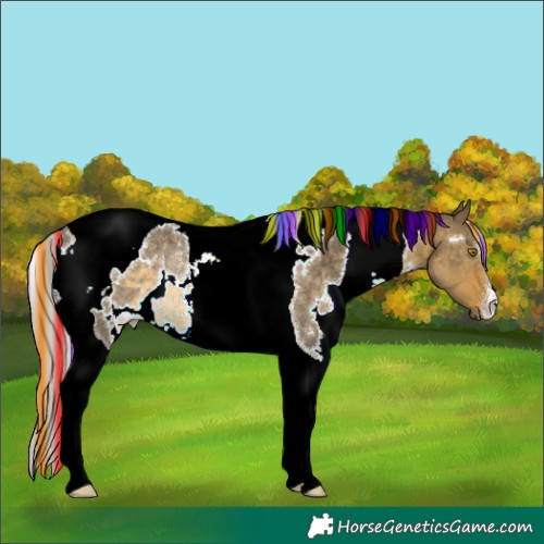 Horse Color:Painted White Spotted Silver Buckskin Dun Tobiano Rabicano