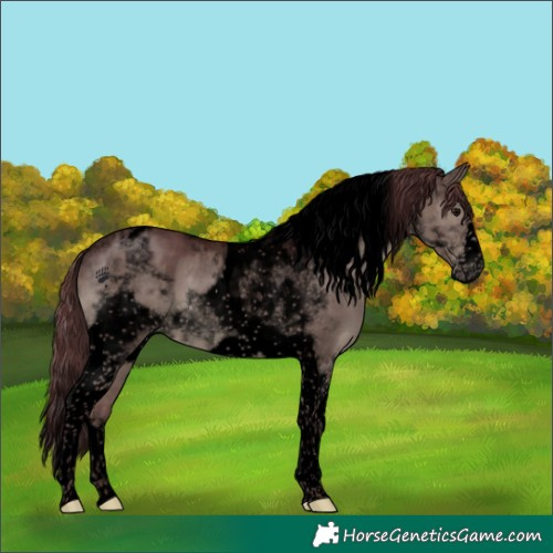 Horse Color:Void Platinum Chocolate Smoky Grullo Splash Tobiano Frame 