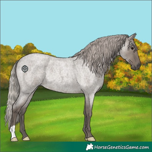Horse Color:Silver Grullo Roan Rabicano 