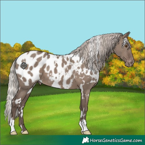 Horse Color:White Spotted Silver Grullo Blanket