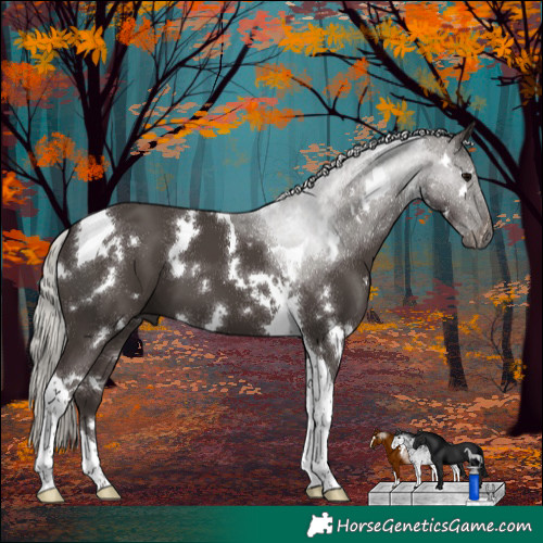 Horse Color:White Spotted Silver Black Tobiano
