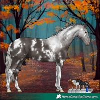 Horse Color:White Spotted Silver Black Tobiano 