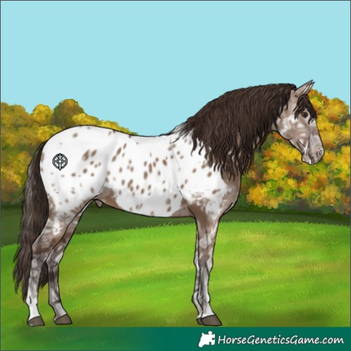 Horse Color:White Spotted Liver Red Dun Ice Appaloosa 