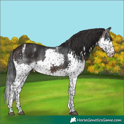 Horse Color:Powder White Brown Splash
