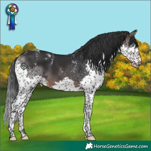 Horse Color:Powder White Brown Splash Tobiano 