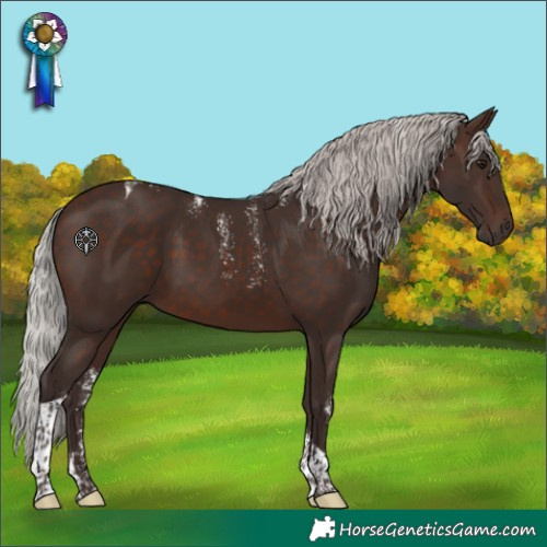 Horse Color:Powder White Silver Brown Tobiano