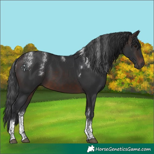 Horse Color:Powder White Brown Tobiano 