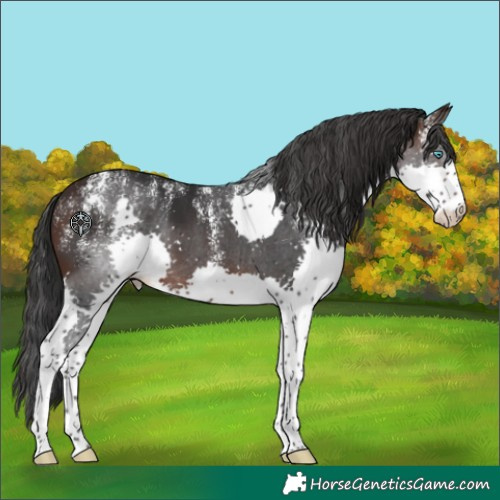 Horse Color:Powder White Brown Splash