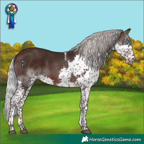 Horse Color:Silver Brown Splash Tobiano 