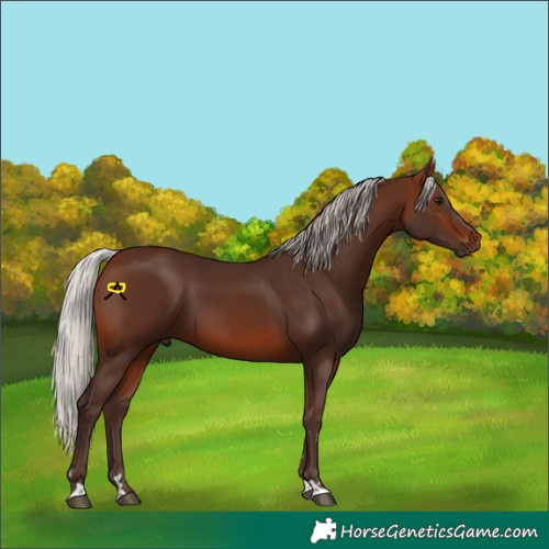 Horse Color:Silver Brown 