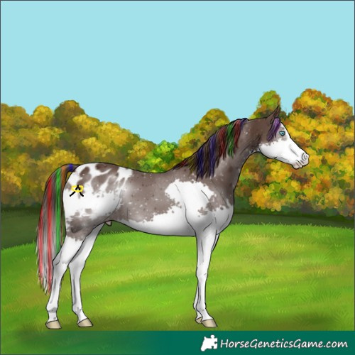 Horse Color:Painted Liver Chestnut Sabino Splash Blanket 