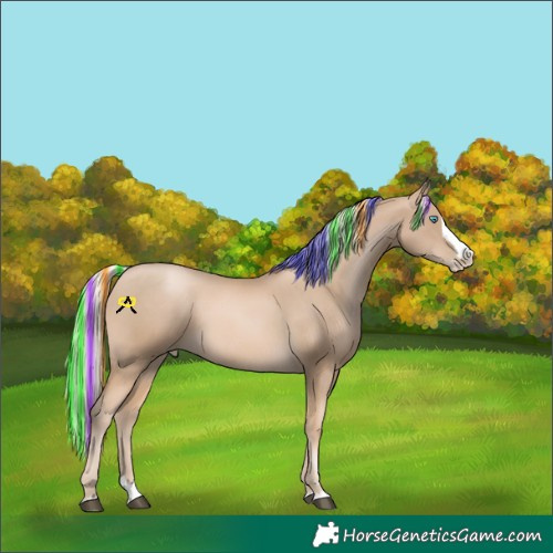 Horse Color:Painted Chocolate Palomino Pearl Splash
