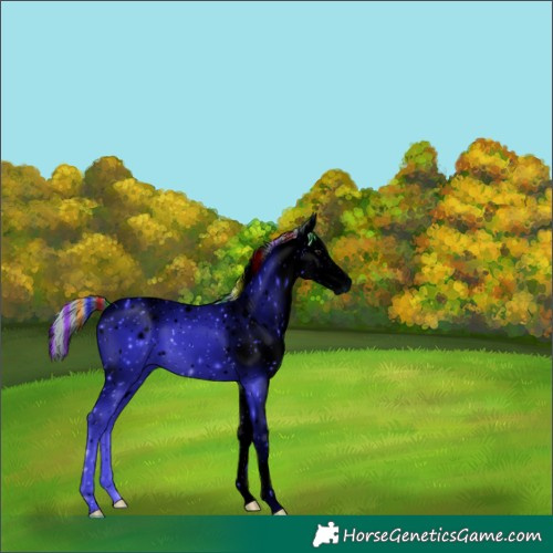 Horse Color:ERROR: UNKNOWN ANOMALY