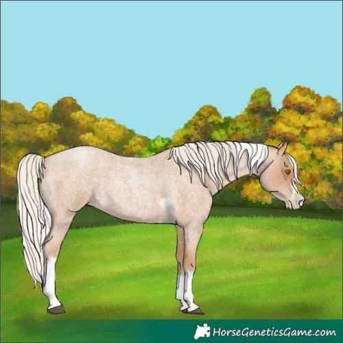 Horse Color:Silver Blue Roan Pearl Tobiano Frame 