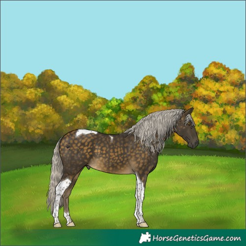 Horse Color:Silver Buckskin Tobiano 