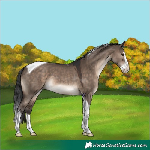 Horse Color:Brown Dun Splash Tobiano Rabicano 