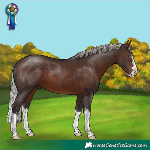 Horse Color:Silver Brown Splash Rabicano