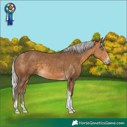 Horse Color:Gray Silver Perlino Splash Tobiano