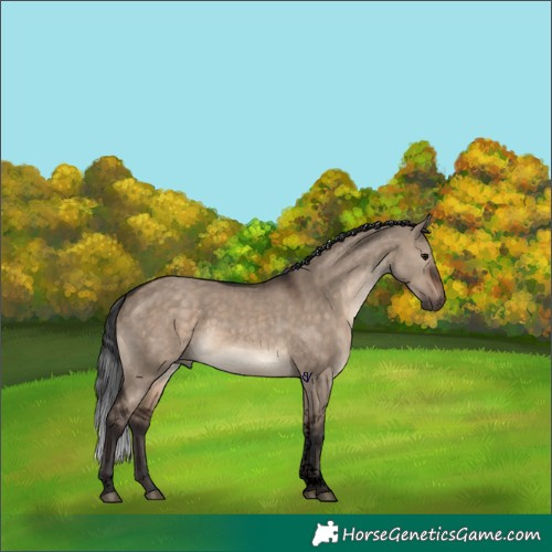 Horse Color:Void Brown Dun Tobiano