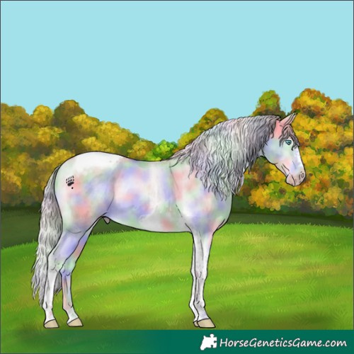 Horse Color:Platinum Nacre Perlino Dun Tobiano Frame Brindle 