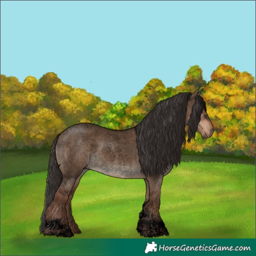 Horse Color:Void Liver Red Dun Roan Tobiano