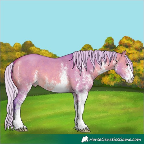 Horse Color:Watercolor White Spotted Silver Bay Dun 