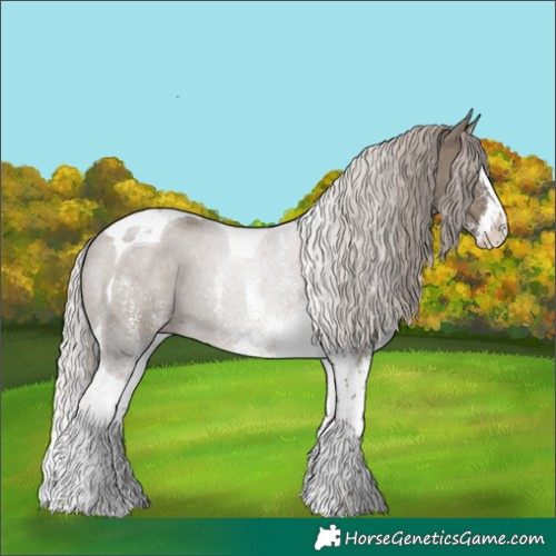 Horse Color:White Spotted Silver Grullo Splash Tobiano