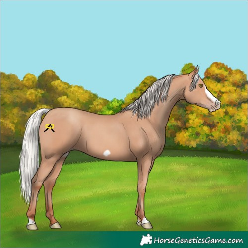 Horse Color:Silver Amber Champagne Frame