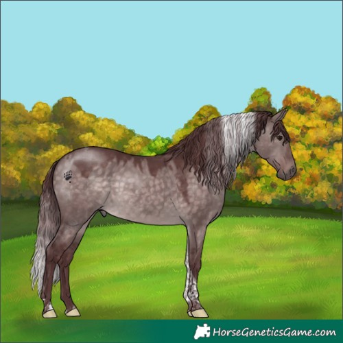 Horse Color:Platinum Chocolate Brown Dun Tobiano