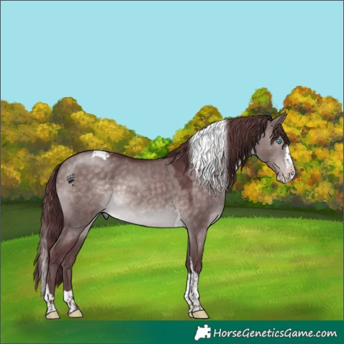 Horse Color:Platinum Chocolate Brown Dun Splash Tobiano 