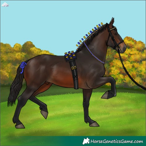 Horse Color:Gray Bay 