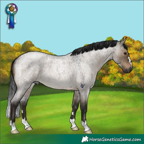 Horse Color:Gray Brown Roan Dun Rabicano