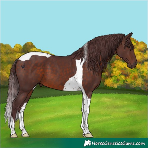 Horse Color:Chocolate Brown Tobiano 