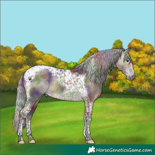 Horse Color:Nacre Silver Brown Dun Tobiano Frame 