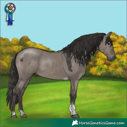 Horse Color:Smoky Grullo Tobiano 