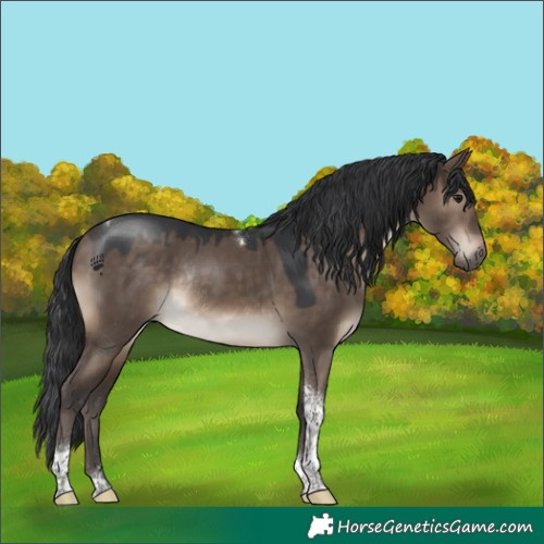 Horse Color:Brown Dun Tobiano Rabicano 