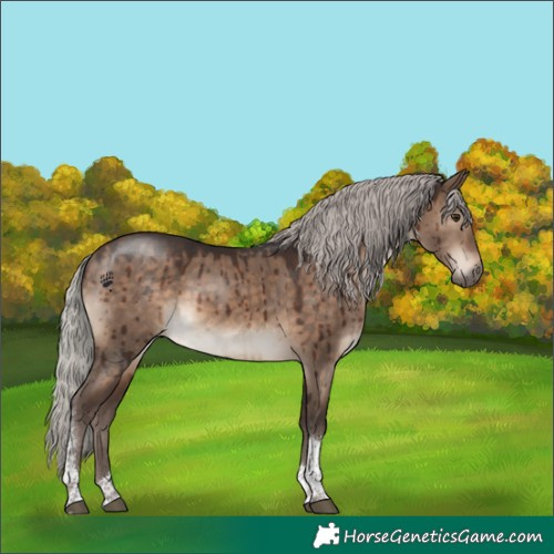 Horse Color:Silver Brown Dun Tobiano Rabicano Brindle 