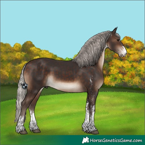 Horse Color:White Spotted Silver Brown